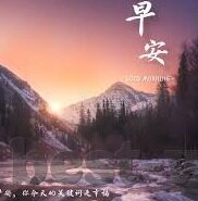 足球比分90vs-绿茵激战，90vs背后的热血与梦想——一场足球比分的深度剖析